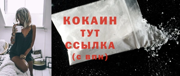 винт Абаза