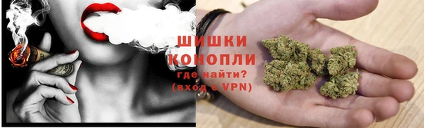 шишки Алексеевка