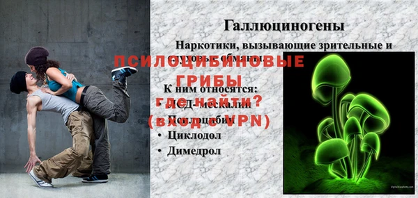 стафф Шадринск