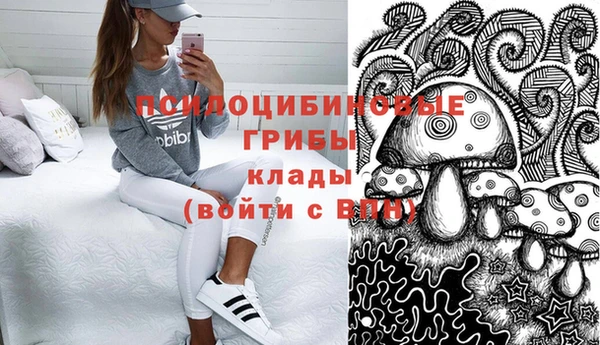 шишки Алексеевка