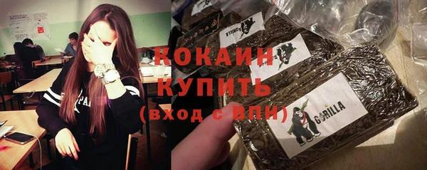 кокс Алексин