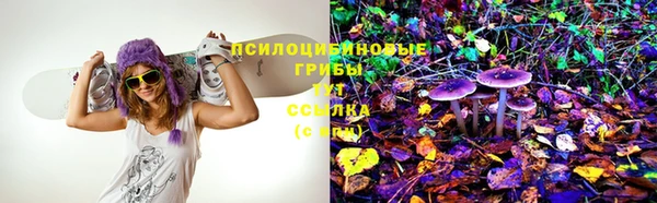 тгк Абдулино