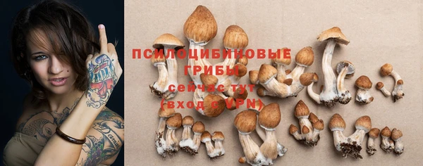 тгк Абдулино