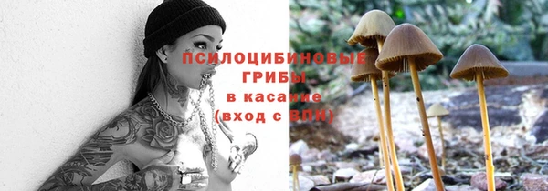 тгк Абдулино